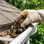 Gutter cleaning service in Bellevue, WA for clogged gutters and drainage