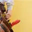 Handyman repair service in Bellevue, WA for home fixes and improvements