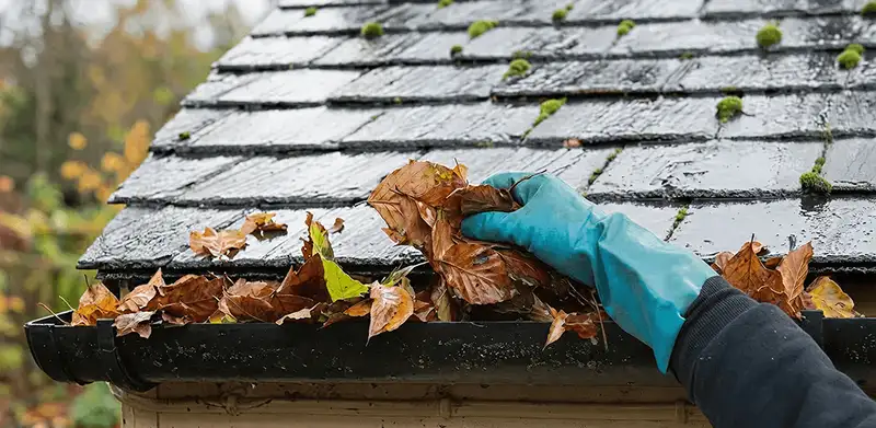 Gutter cleaning technician clearing wet leaves from roof gutters in Bellevue, WA